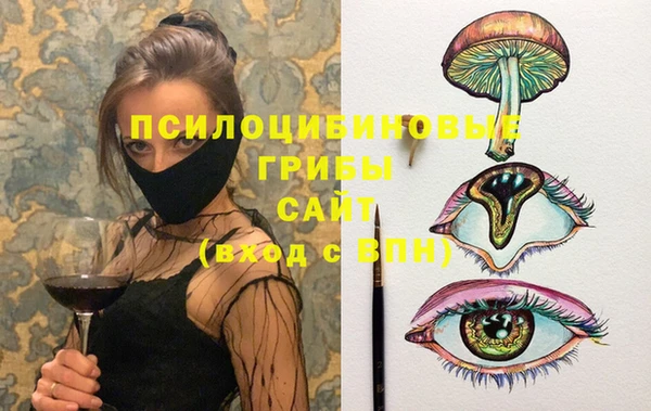соль ск Елизово