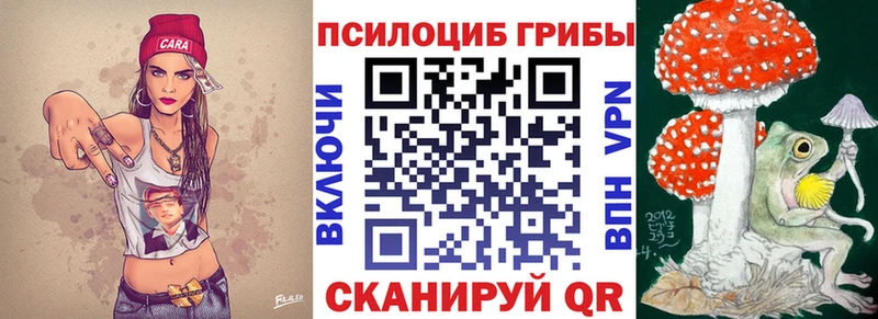 Купить закладки Заречный Псилоцибиновые грибы прущие грибы