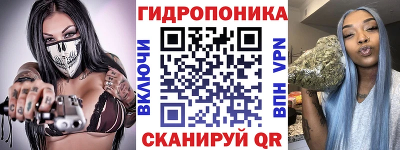 Бошки Шишки планчик  Купить закладки  Заречный 